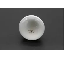 POPCORN - Bulb