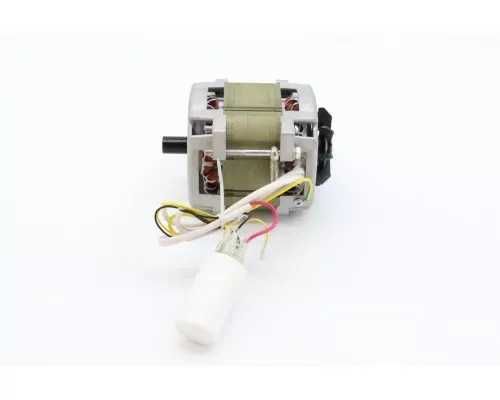 MS250 - Motor #58 MS250 - Motor #58