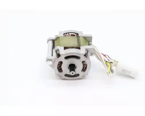 MS250 - Motor #58 MS250 - Motor #58