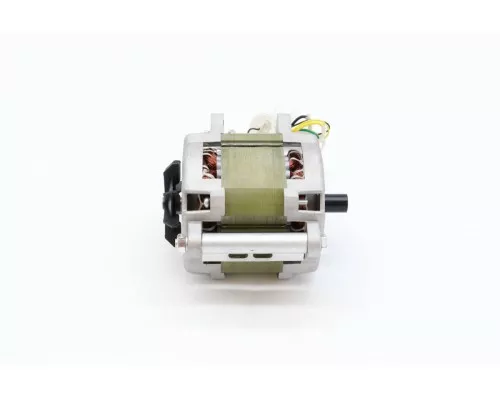 MS250 - Motor #58 MS250 - Motor #58