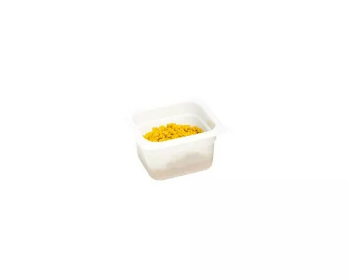 container GN 1/6 100 mm, polipropylen Container gn 1/6 100 mm, polipropylen, Stalgast, 166102