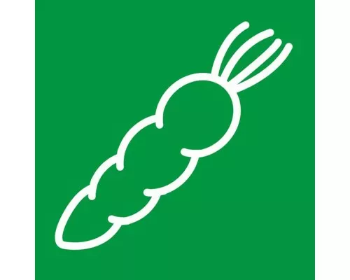 nóż kuchenny, HACCP, zielony, L 250 mm Virtuves nazis 25 cm zaļš, Stalgast, 281252