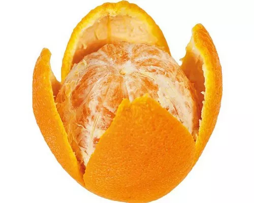 nóż do obierania cytrusów Mizošanas nazis citrusaugļiem, Stalgast, 334113