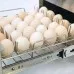 Прожектор для ящиков из нержавеющей стали, Stalgast, 690552