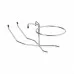 593905, BarUp - Photo
