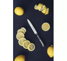 Utility Knife, serrated edge, forged, 13.0cm, black, Premier Plus
