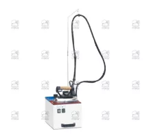 Electric steam generator with iron, execution 2