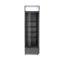 Bāra ledusskapis ar apgaismotu paneli, viendurvju, Arktic, 254L, Melns, 220-240V/250W, 578x605x(H)1980mm