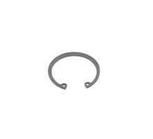 BRS - Seeger Ring 47 #15