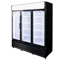 RICO ledusskapja vitrīna i160 S-160 cm G-61 cm H-198 cm N